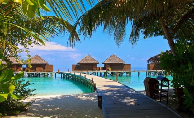 Курорт на Малдивите предлага луксозен работен пакет за 23 хил. долара