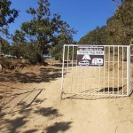 Бетонджиите на Иракли отново са на ход