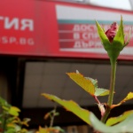 Акценти от агенциите до 17.00 часа на 29.11.2020 г.