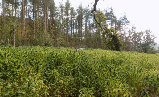 При специализирана полицейска операция под ръководството на Окръжната прокуратура във