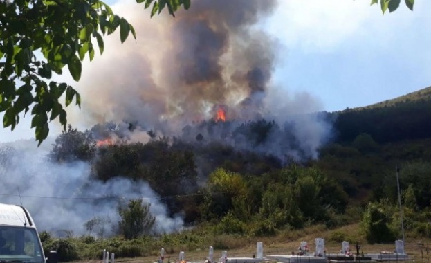 Снощи пожар е обхванал близо 1000 декара до хасковското село