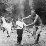  Премиера на филма за Рангел Вълчанов 