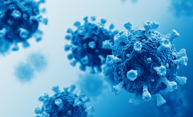 Учени от Полша и САЩ откриха „слабото място” на коронавируса