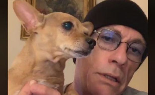 Започва вътрешно разследване на Ветеринарния съюз по случая с малкото куче Рая 