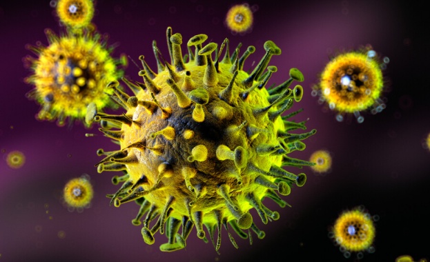 Рядък вариант на коронавируса бе идентифициран в Италия 