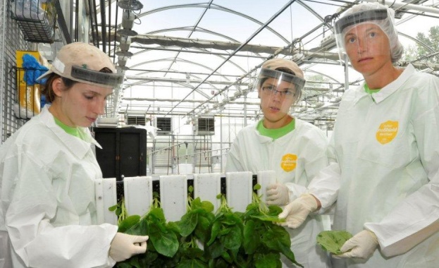 Канадската биофармацевтична компания Medicago сключи договор с правителството на Канада