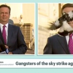 Сврака нападна австралийски репортер 