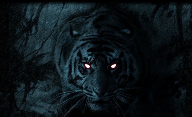 Фотограф любител засне черен тигър в индийския щат Одиша съобщи Лента