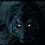 Фотограф-любител засне черен тигър в Индия