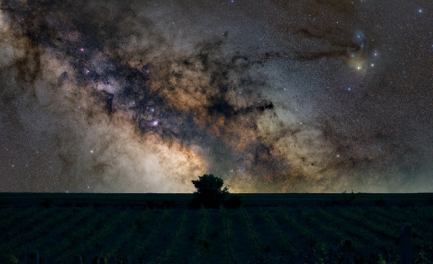 Сутеренната зала в експозиция Мексиканско изкуство към Градската галерия в