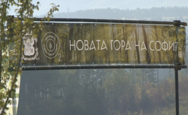 4500 нови фиданки са засадени през втория уикенд от най мащабния