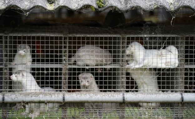 Дания обяви специални ограничения за над 280 000 души в