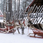 Не планирайте пътувания по Коледа