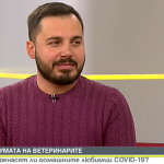 Пренасят ли домашните любимци COVID-19?