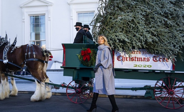 Коледа в Белия дом - Мелания Тръмп посрещна сама елхата 