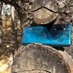 Разходка сред изящни есенни цветове с Huawei P smart 2021