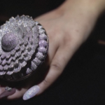 Пръстен с 12 638 диаманта в Рекордите на Гинес