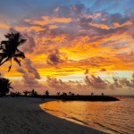 Правила по време на пътешествие