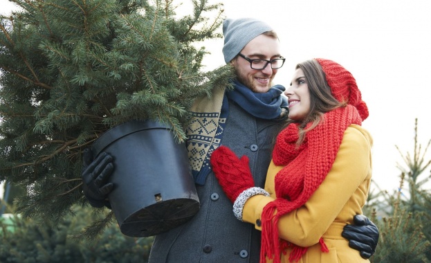 Тъжната гледка на всички изхвърлени елхи които през януари се