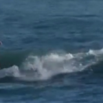 Дядо Коледа на сърф: Масовото събитие в Калифорния е отменено, изпълненията са соло