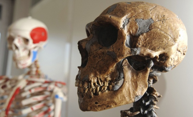 „Билд“: Откритие в България помири неандерталците и хомо сапиенс