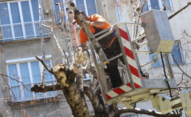 Екипите на дирекция Аварийна помощ и превенция на Столичната община