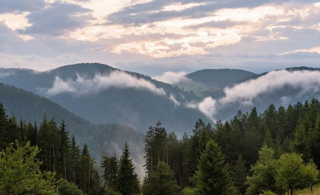 Предстои обявяването на територията на Сакар планина за защитена зона