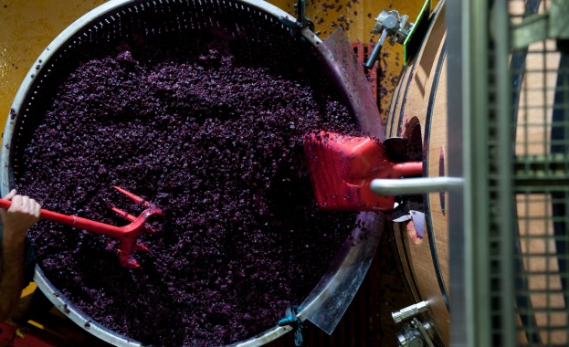 Ако пицата която ви сервират е черна и има силен