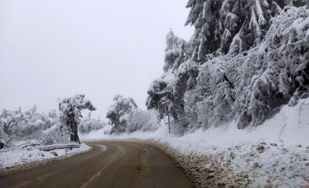 Пътят през Петрохан остава затворен, 11 села са без ток в Монтанско 