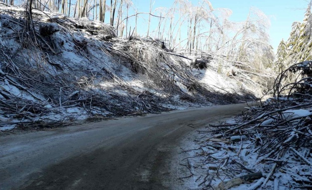 Продължава разчистването на падналите и пречупени дървета и клони на