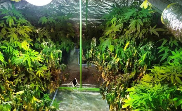 Специализираната полицейска операция по противодействие на наркопроизводството и разпространението на