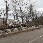 Възстановено е движението през проход "Петрохан" за автомобили до 12 т