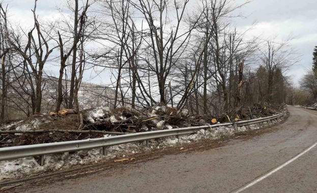 Възстановено е движението през проход "Петрохан" за автомобили до 12 т
