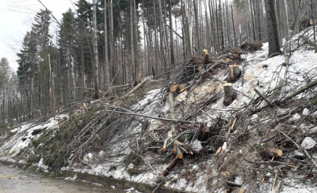Днес около 14 30 ч се възстановява движението през прохода Петрохан