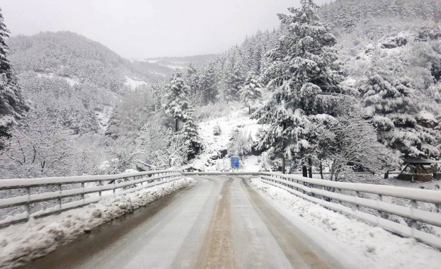 1320 машини са обработвали републиканските пътища през нощта 1320 снегопочистващи