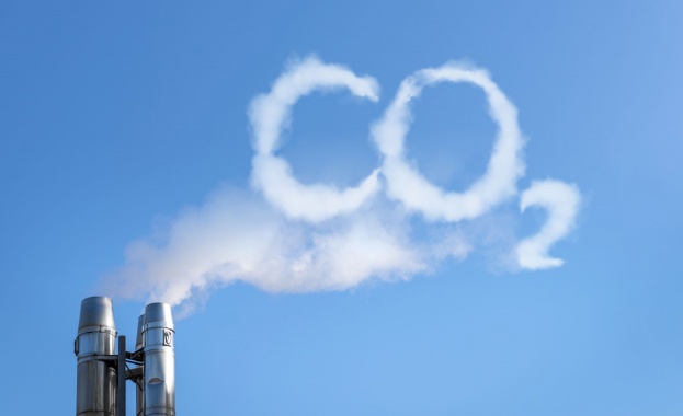 Учени от университетите Сан Диего в Калифорния и A amp M в