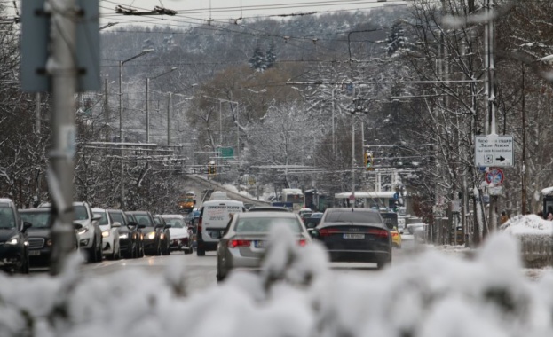 По информация на Столична община в София са обработени пътните