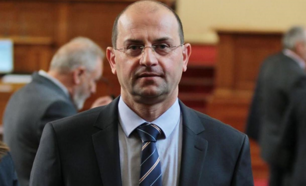 1 3 та от тези гори са с възраст над 50 години