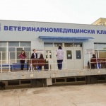 Уникална операция на циркова камила извършиха ветеринарни хирурзи от Тракийския университет 