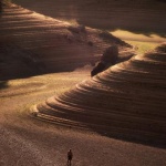 Световната фотографска организация и Sony обявиха българския носител на Световните награди за фотография на Sony 2021