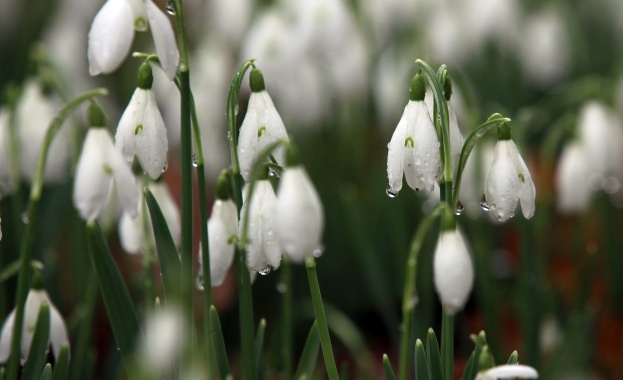 Предстоящи събития в страната на 1 март 2023 г.