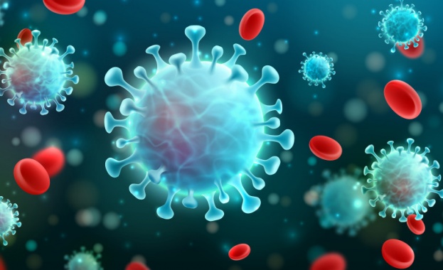 Лабораторно проучване предполага че южноафриканският вариант на коронавируса може да