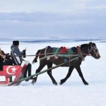 Конни шейни возят туристи по замръзнало езеро в Източен Анадол