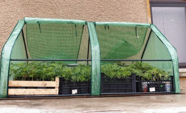 Окръжна прокуратура Монтана разследва открита нарколаборатория в с Киселево