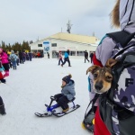 Колко ще ни струва и какви са очакванията на курортите