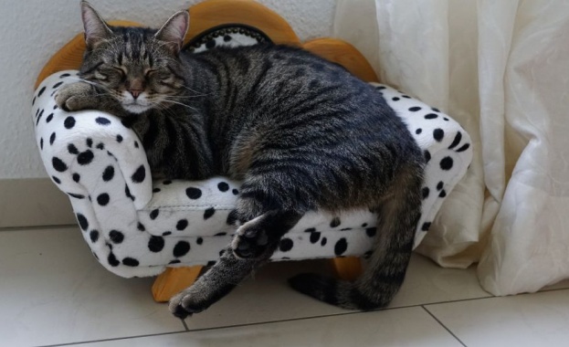 Глезят ги с минерална и солена вода фризури и индивидуален