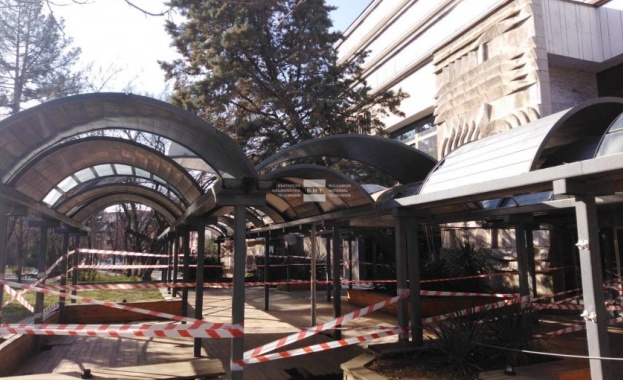 Изкорененото дърво се държи само на един навес и създава