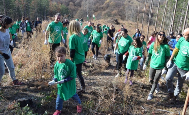 Над 2000 медоносни и плодни дървета засаждат днес доброволци по