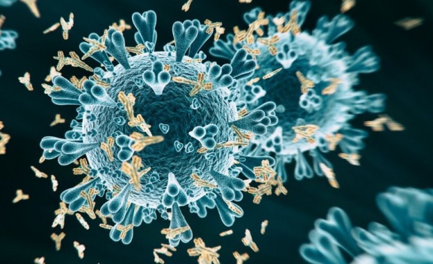 Учени твърдят: Антителата срещу COVID-19 се запазват поне девет месеца след инфекцията 