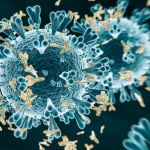 Кой има имунитет срещу SARS-CoV-2